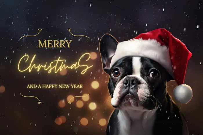 Weihnachten Boston Terrier mit Mütze