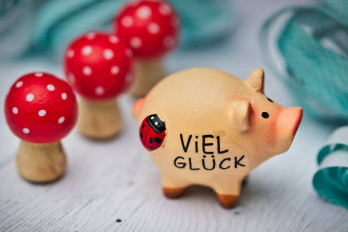 Schwein Viel Glück